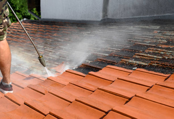 Best Roof Pressure Washing  in Forked River, NJ